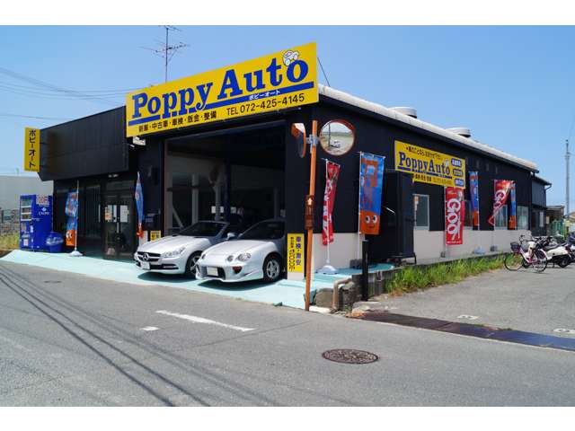 Ｐｏｐｐｙ　Ａｕｔｏ